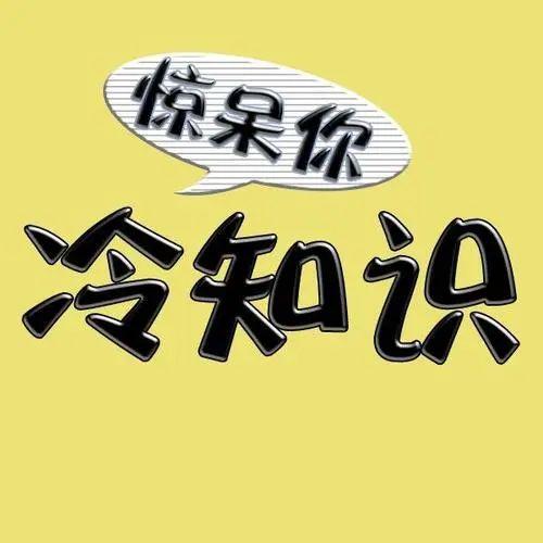 冷知识中的暖心告白？