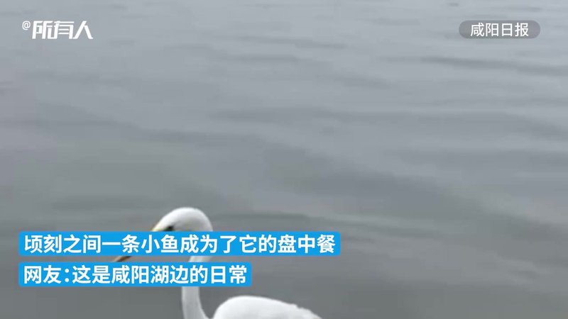 今天,我成了捕鱼达人? 今天,我成了捕鱼达人?