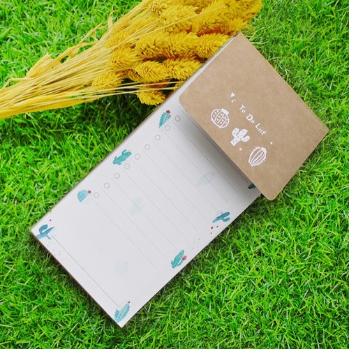 仙人掌在窗台上的第七天…