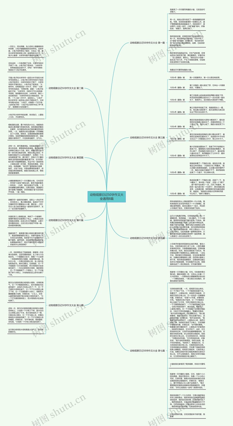 今天，我想记录一些琐碎！