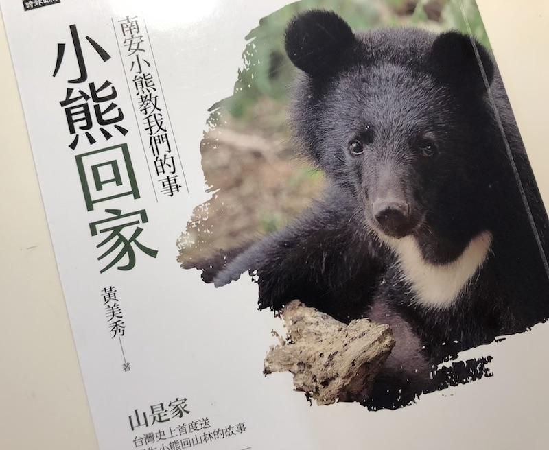 雨后的猫咪探险! 雨后的猫咪探险!