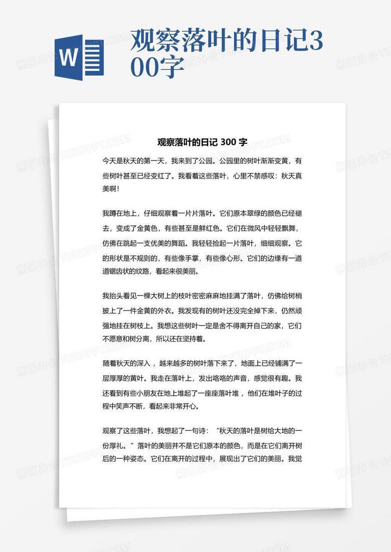 秋风中的落叶，生命的回响…