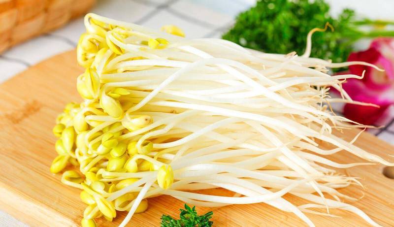 黄豆芽长高了,我却矮了一截… 黄豆芽长高了,我却矮了一截…