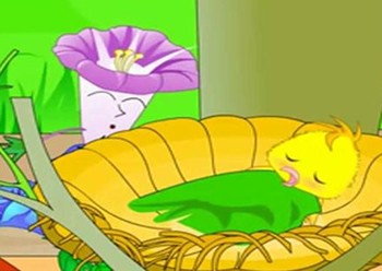 《小白兔的歌声：那段意外录制的森林故事》