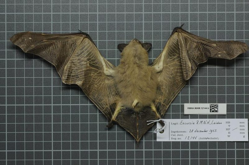 青春的潮汐—一次成长的洗礼