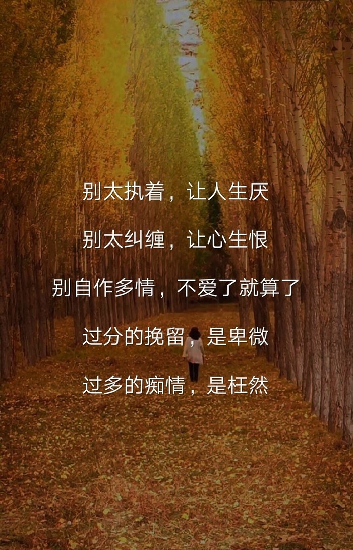 不二情话—那些让人瞬间心动的温柔话语