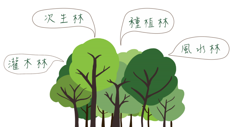 森林情话的含义丨爱在自然中的细语