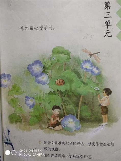 校园里的小惊喜？