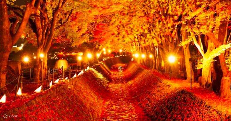 今天我吃了一颗发紫的葡萄，心里却甜得发慌！