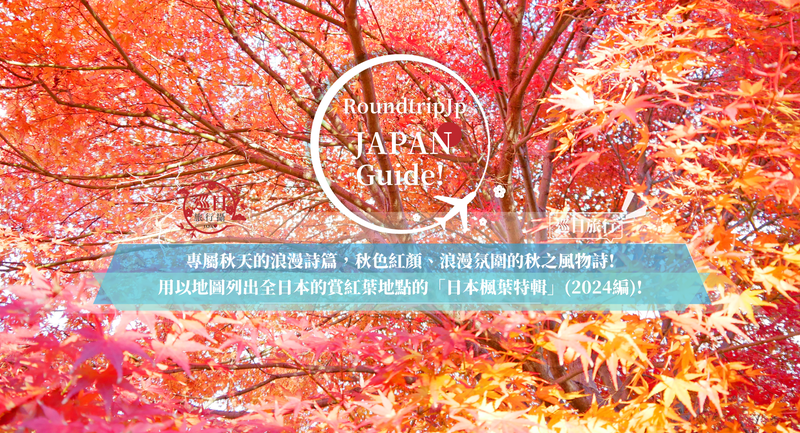 秋日的色彩交响曲！