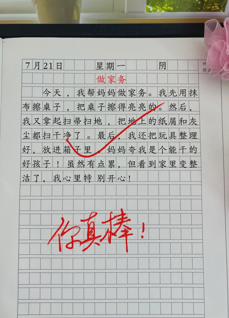 做家务的日记50字？