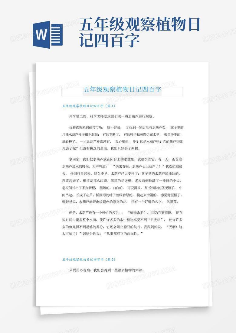 今天我观察植物四百字？