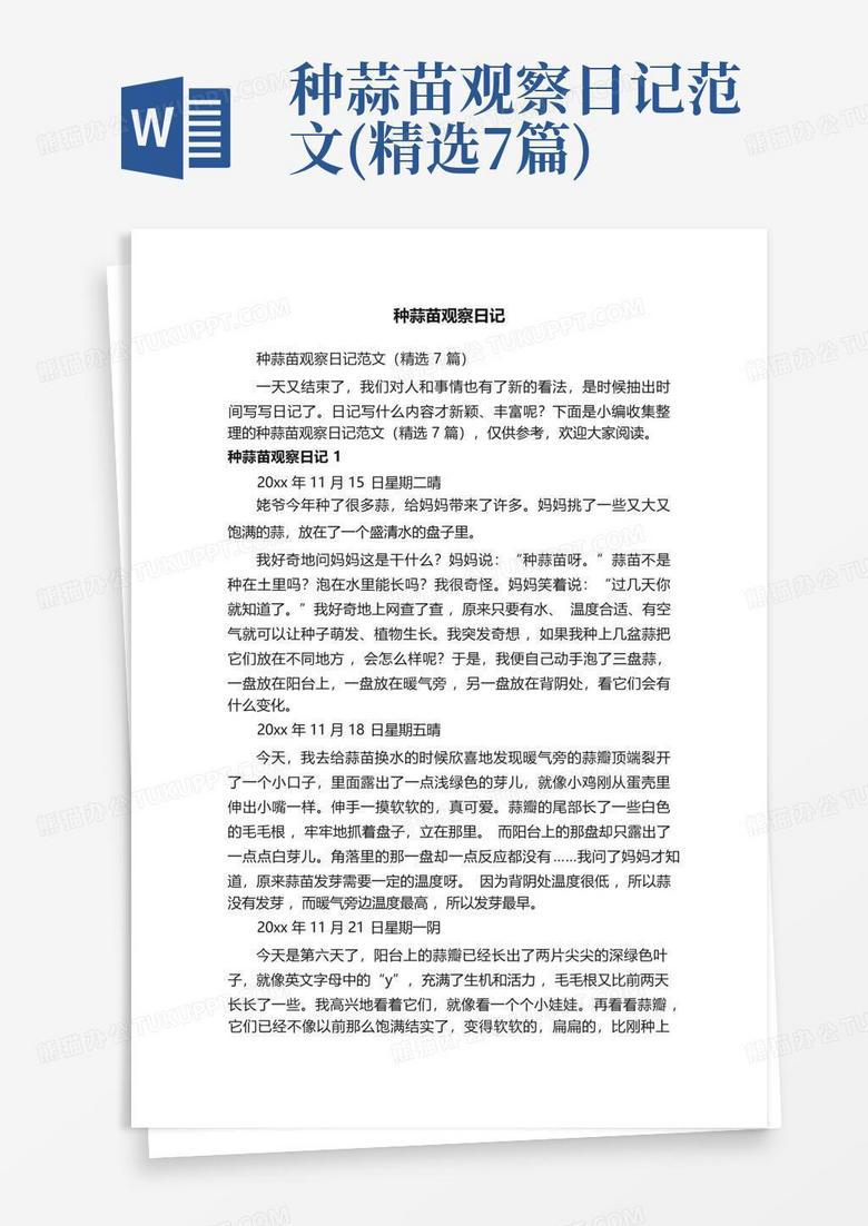 阳光下的黄瓜苗｜我的种植日记