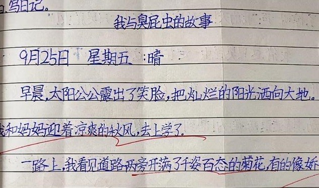 初遇阳光·一位老师与一年级的我们