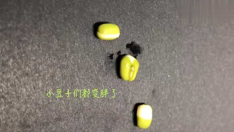 绿豆观察日记五则 绿豆观察日记五则