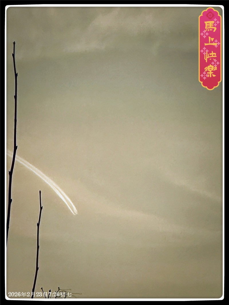 星空下的情话，如天空般绚烂…