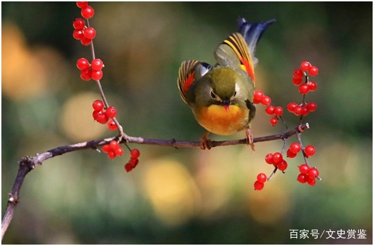 那些让你欲罢不能的情话？