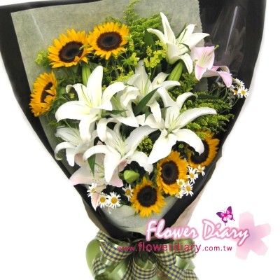 今天我遇见了最美好的百合花…