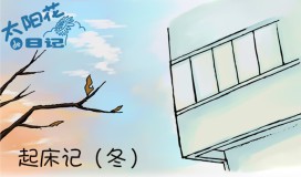 太阳花下的午后！