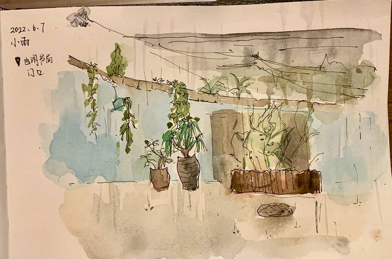 后院那几只跳得飞起的蚂蚱…