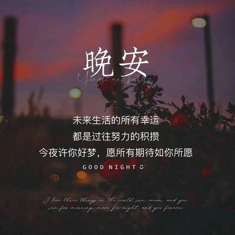 暖心晚安情话·爱的温柔陪伴