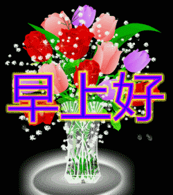 晨曦中的白狐，早安，我的爱人！