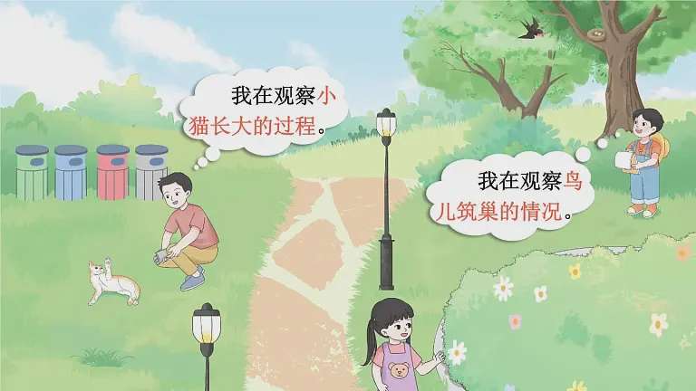 今天，我观察了作文里的世界…