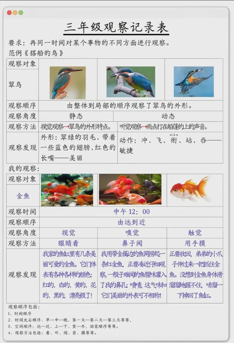 晨曦中的森林舞者！