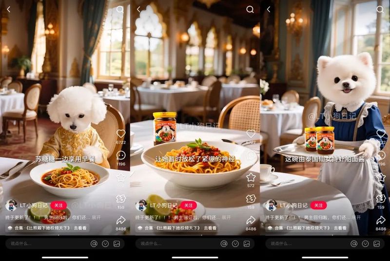 我家的小捣蛋鬼：—小猫观察日记