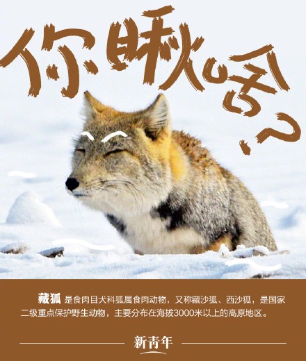 野生情话·让爱升温的温暖话语