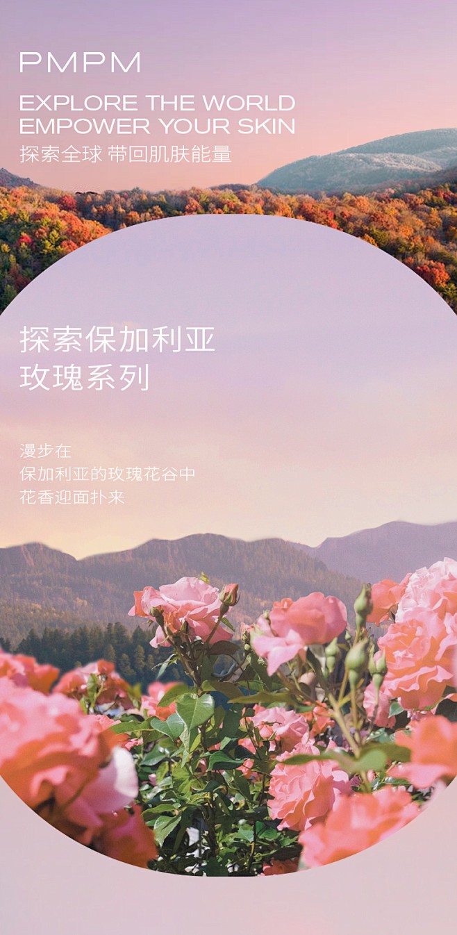 玫瑰，你今天美得让我心动…