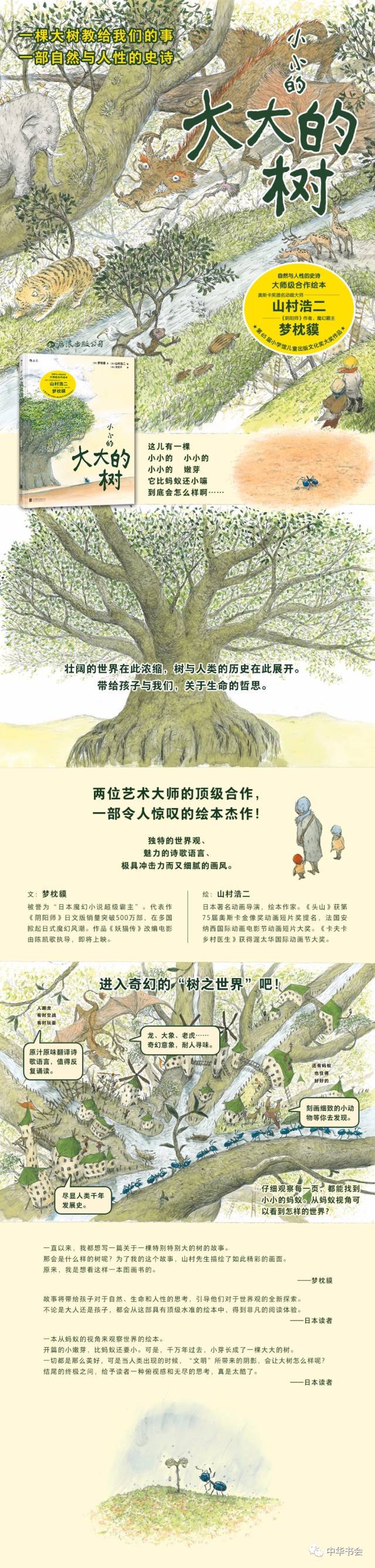 那棵老树的智慧？