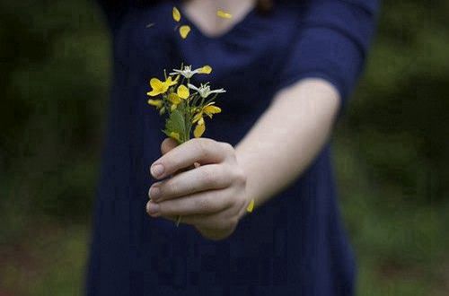 晨光里的温柔：简短情话早安励志