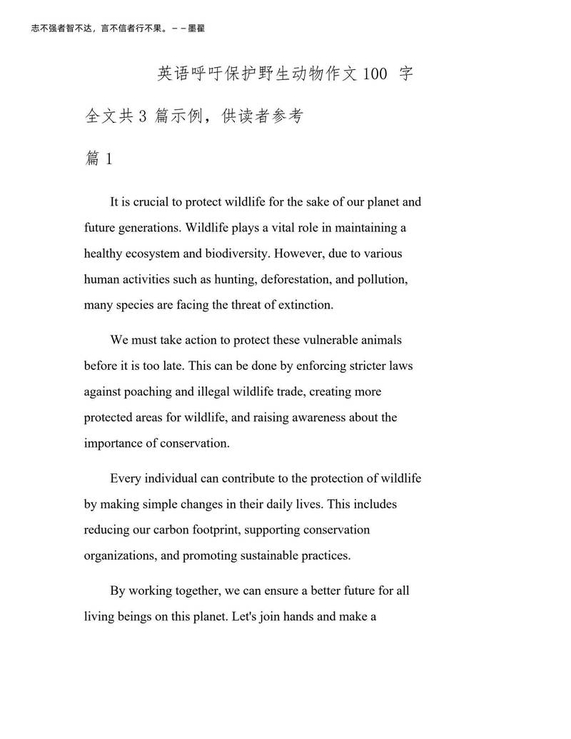 今天，我与一只小猫的奇妙相遇！