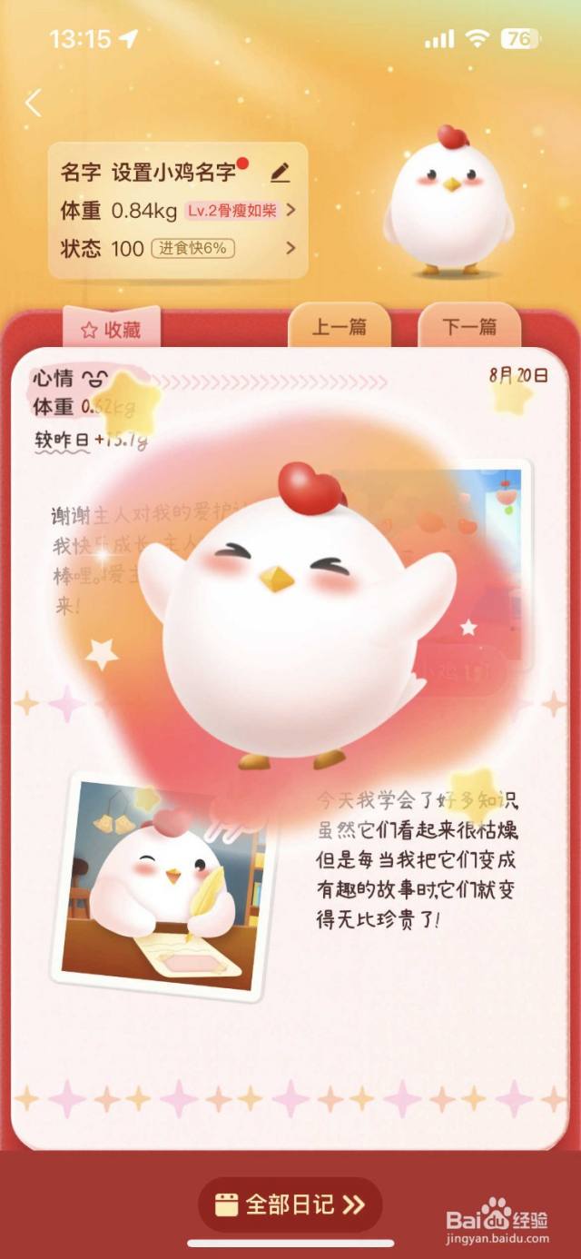 雨后的小小探险? 雨后的小小探险?