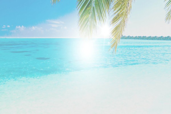 海风的低语,心灵的宁静? 海风的低语,心灵的宁静?