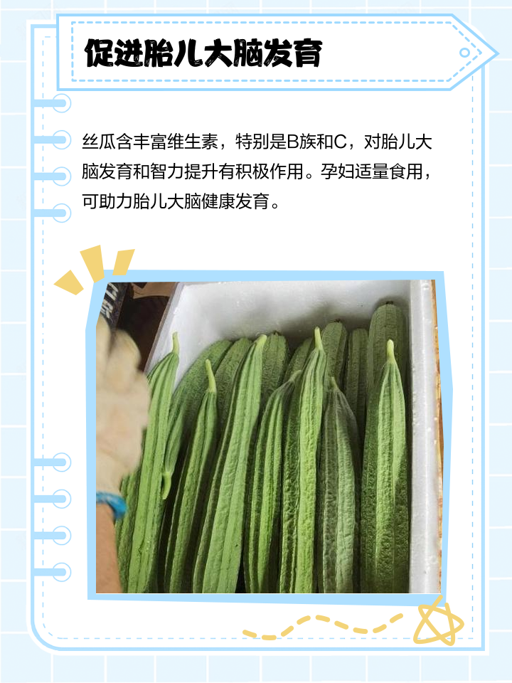 丝瓜的日记｜酸甜苦辣的成长故事