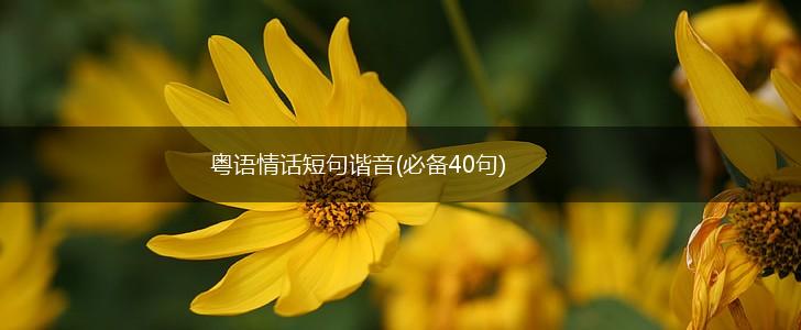 在广州的风里，说一句不烫嘴的情话？