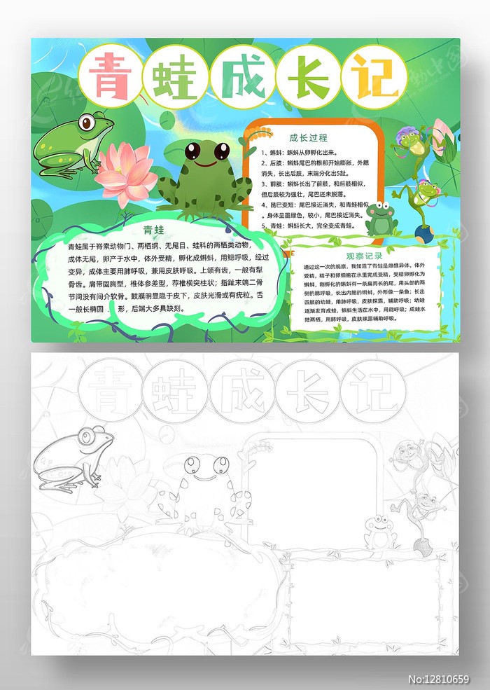 夏夜池塘边的奇遇｜那只大青蛙盯着我看