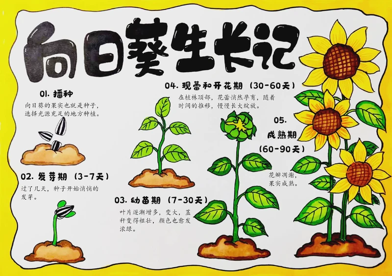 阳台上的绿意，悄悄治愈了我…