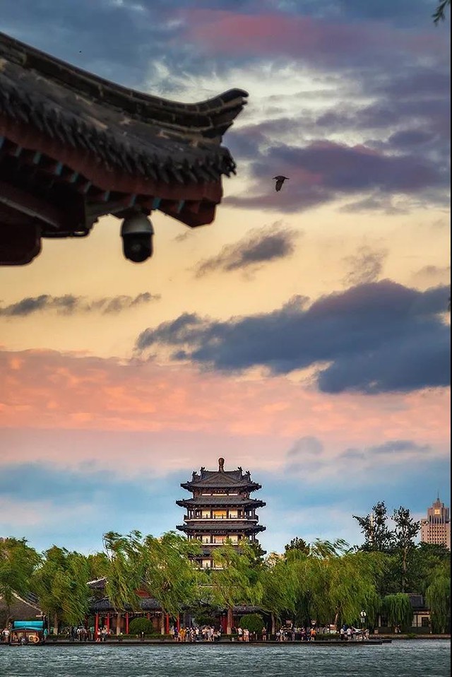 大明湖的午后阳光比想象中更温柔！