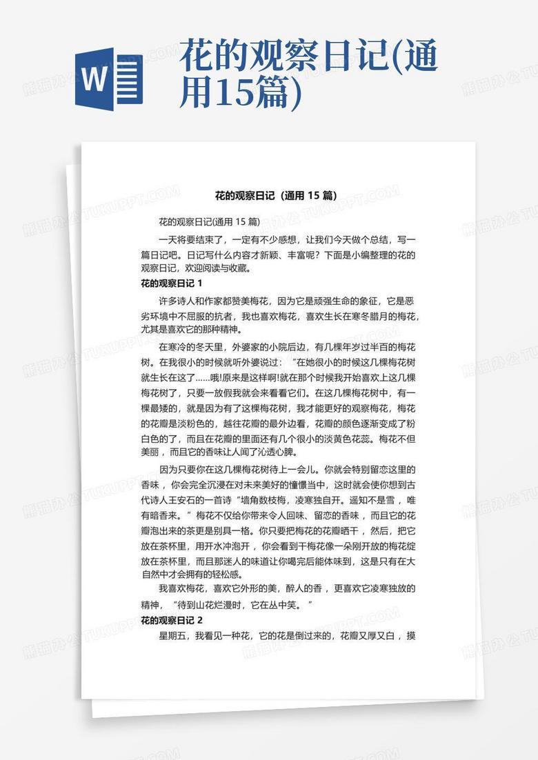 花生种植日记：从播种到发芽的奇妙旅程