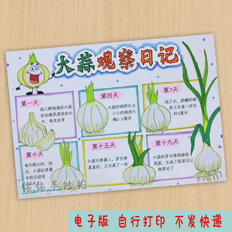 蒜苗的奇妙之旅? 蒜苗的奇妙之旅?