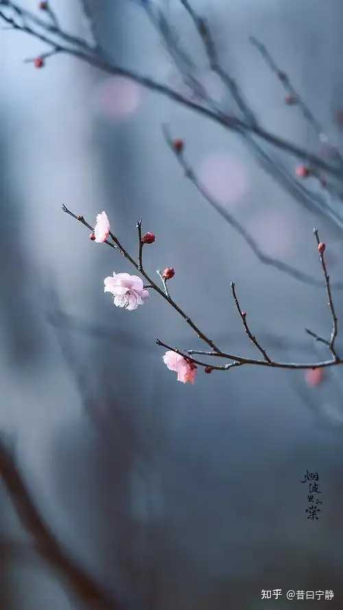 春日里的秘密与勇气？