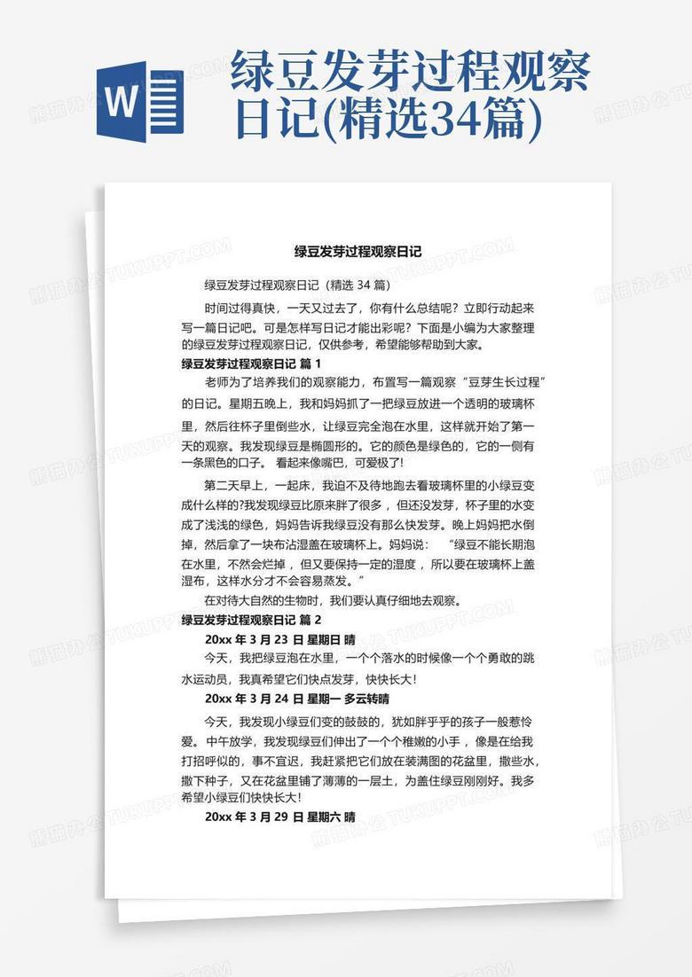 绿豆观察日记：第四天的发现