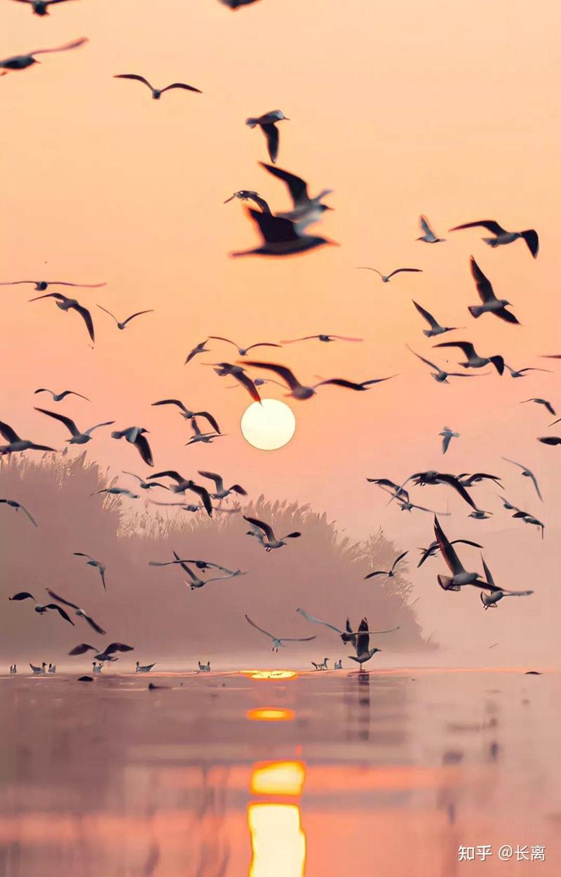 余光里的温柔—那些藏在视线角落的情话