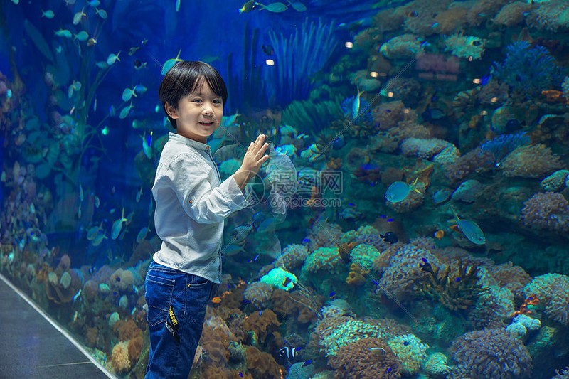 海洋馆里的奇妙时刻！