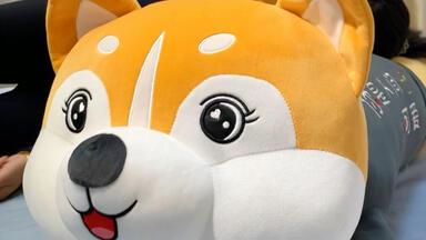 靠枕里的温柔宇宙—那些藏在柔软里的爱意