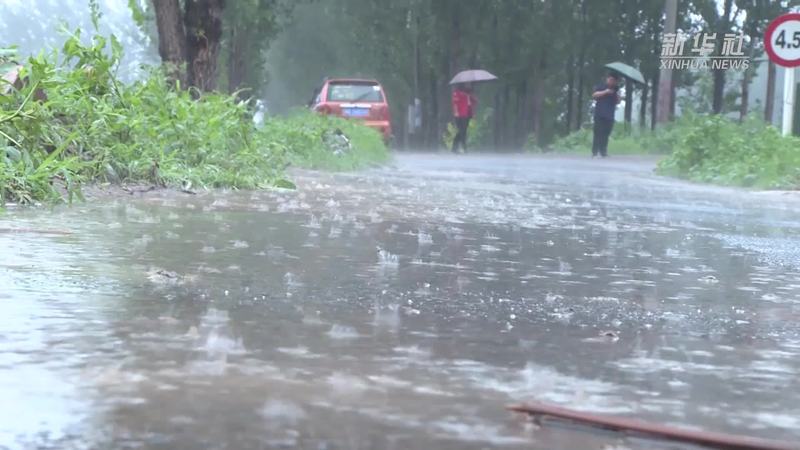 雨中的一把伞