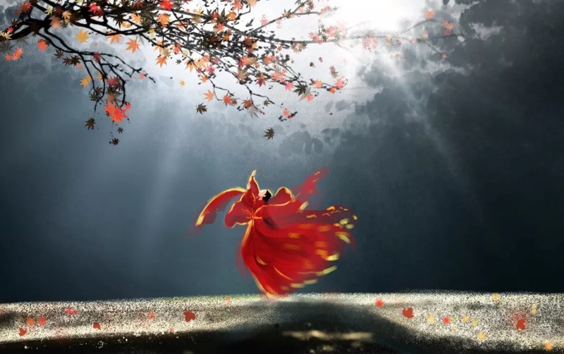 秋风轻拂，落叶如诗的情话？